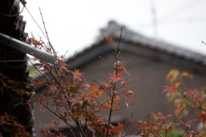 雨が降っている屋根の状態